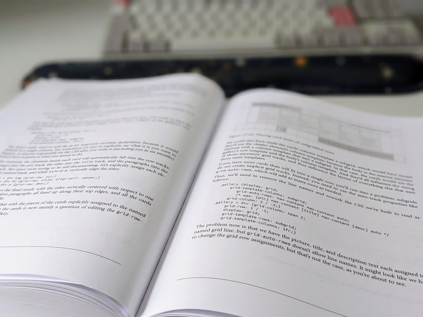 Das Buch CSS - The Definitive Guide liegt aufgeschlagen auf meinem Schreibtisch in einem Kapitel über subgrid, mit meiner Tastatur dahinter. 